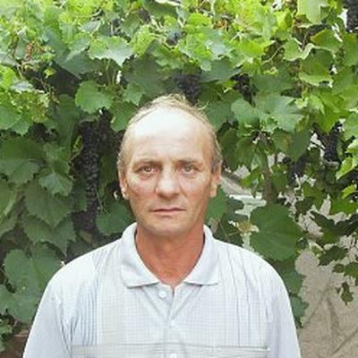 Владимир Прокопов