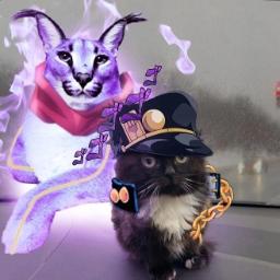 Jotaro Kudjo