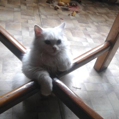 Эдуард Опейкин