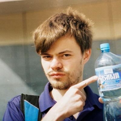Дмитрий Городецкий