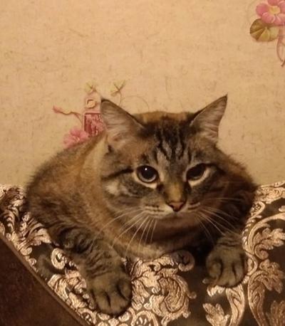 Анастасия Яндимирова