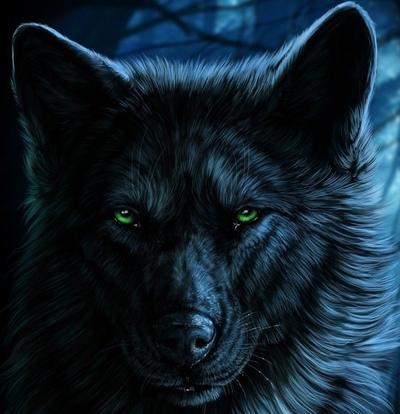 Ильяс Токаев-Кофейников